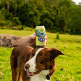 Mexican Lager - 4.5%